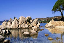 沃尔夫斯堡客场失利，遭遇重大挫折